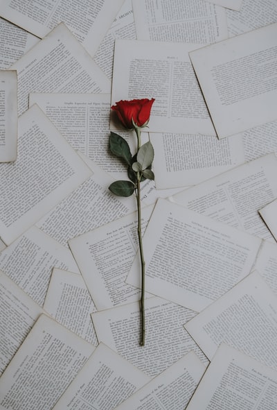 书页上的红玫瑰